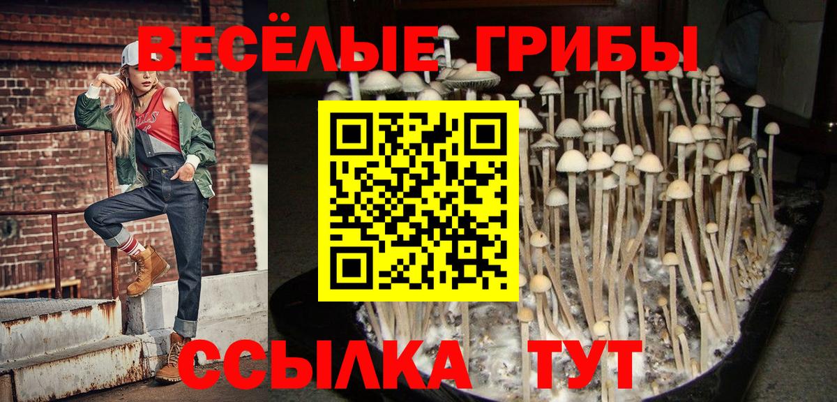 Кулебаки  Галлюциногенные грибы Magic Shrooms  Вход с VPN 